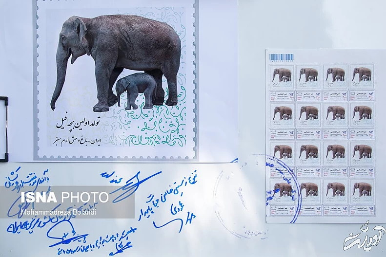 (تصاویر) رونمایی از «مایسا» در باغ وحش ارم